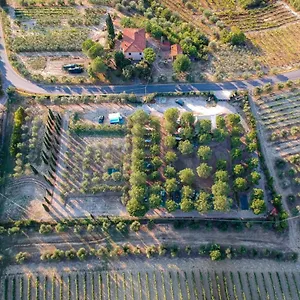 Agricamping Poggio Ai Pini Wine Kemping