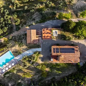 La Collina Degli Olivi Certaldo